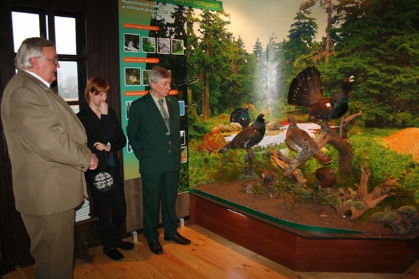 Exhibition – ‘Grouse in the forests of Silesian Beskidy’